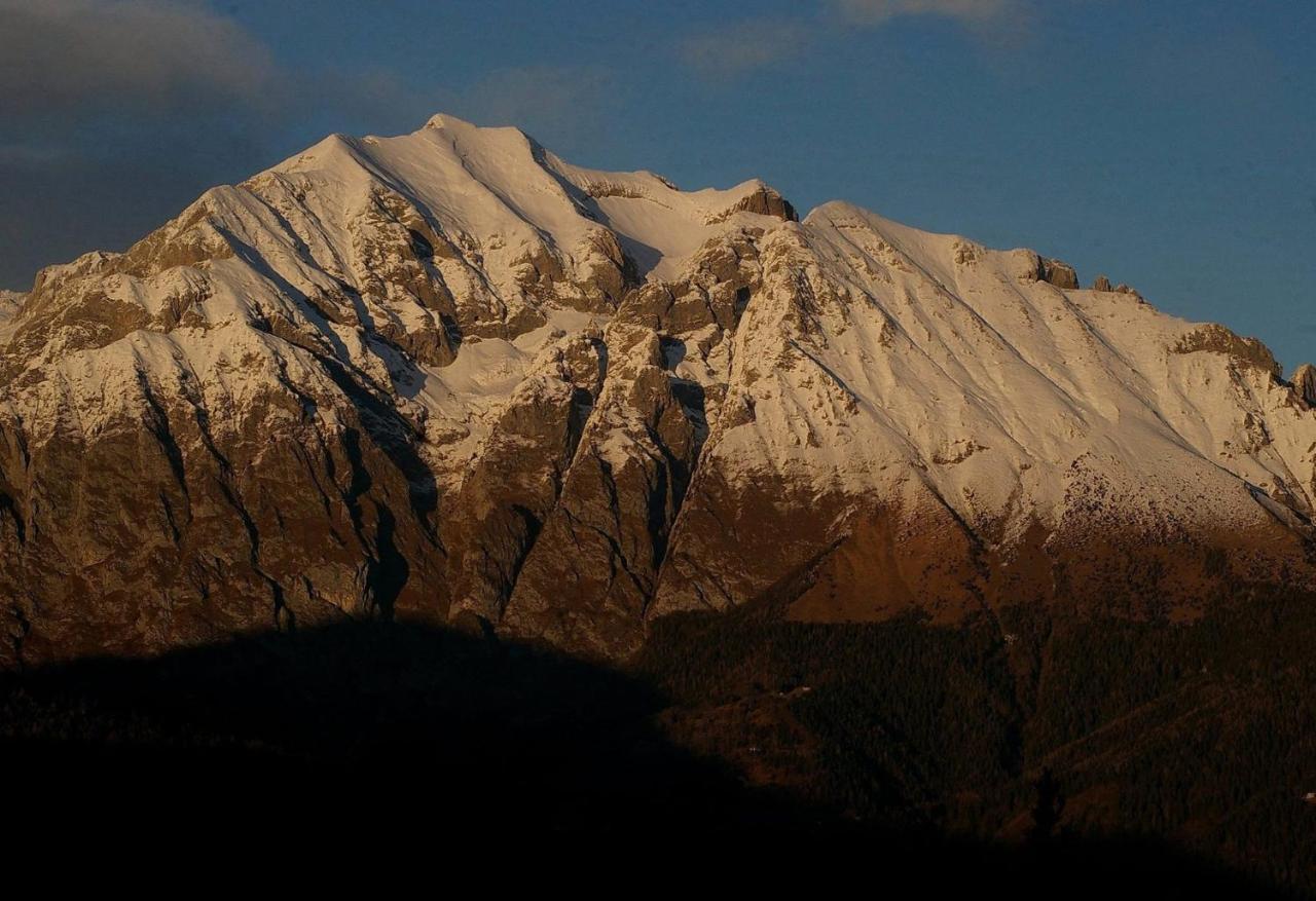 Bed and Breakfast Catif Ladru Cerveno Экстерьер фото